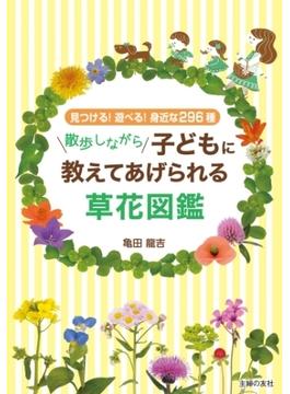 散歩しながら子どもに教えてあげられる草花図鑑