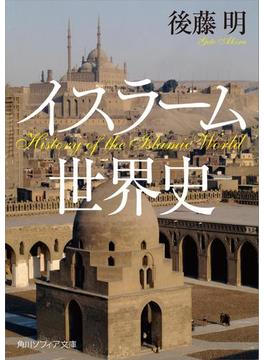 イスラーム世界史(角川ソフィア文庫)