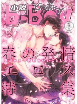 小説ビーボーイ　発情エロス特集（2018年春号）(小b)