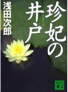 珍妃の井戸(講談社文庫)