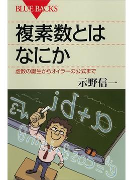 複素数とはなにか　虚数の誕生からオイラーの公式まで(講談社ブルーバックス)