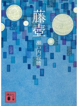 藤壺(講談社文庫)
