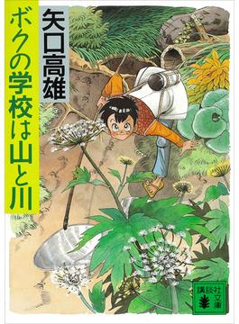 ボクの学校は山と川(講談社文庫)