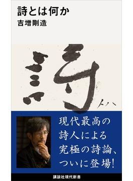 詩とは何か(講談社現代新書)
