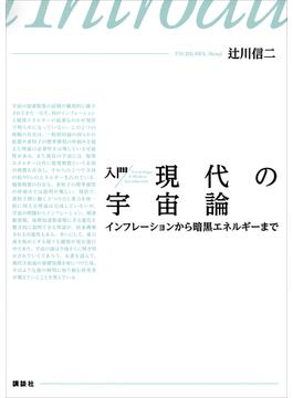 入門　現代の宇宙論　インフレーションから暗黒エネルギーまで(ＫＳ物理専門書)