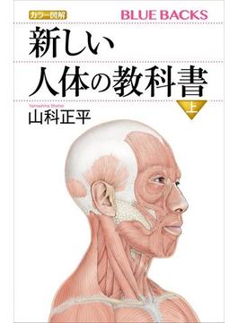 カラー図解　新しい人体の教科書(講談社ブルーバックス)