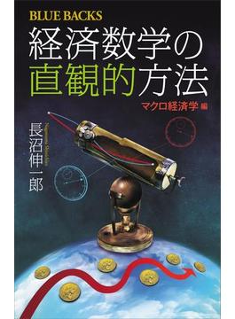 経済数学の直観的方法(講談社ブルーバックス)