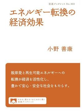 エネルギー転換の経済効果(岩波ブックレット)