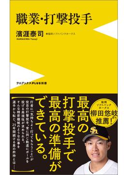 職業・打撃投手(ワニブックスPLUS新書)