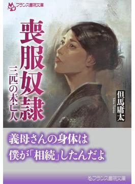 喪服奴隷(フランス書院文庫)