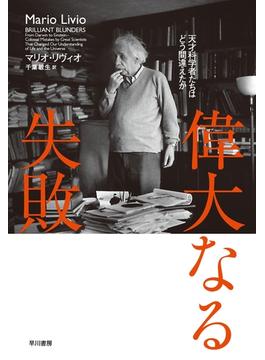 偉大なる失敗