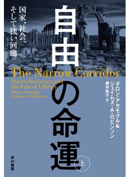 自由の命運 　国家、社会、そして狭い回廊