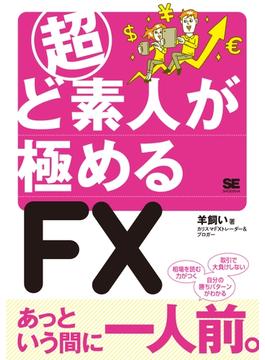 超ど素人が極めるFX