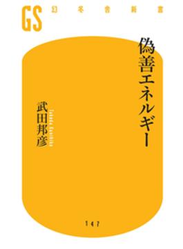 偽善エネルギー(幻冬舎新書)