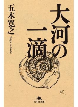 大河の一滴(幻冬舎文庫)