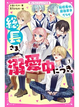 総長さま、溺愛中につき。(野いちごジュニア文庫)
