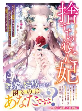 捨てられた妃　めでたく離縁が成立したので出ていったら、竜国の王太子からの溺愛が待っていました(Berry’s Fantasy)