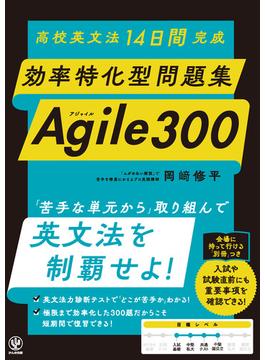 高校英文法14日間完成　効率特化型問題集 Agile 300