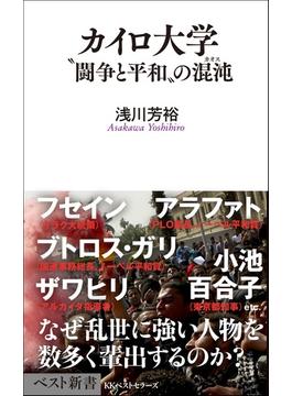 カイロ大学(ベスト新書)