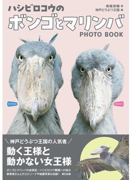 ハシビロコウのボンゴとマリンバ