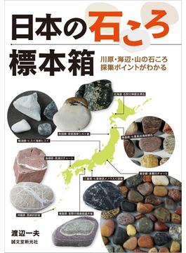 日本の石ころ標本箱