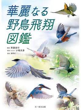 華麗なる野鳥飛翔図鑑