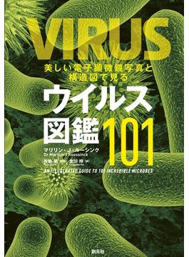 美しい電子顕微鏡写真と構造図で見るウイルス図鑑101