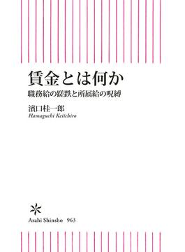 賃金とは何か　職務給の蹉跌と所属給の呪縛(朝日新書)