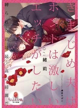 きまじめ夫はホントは激しいエッチがしたい(オパール文庫)