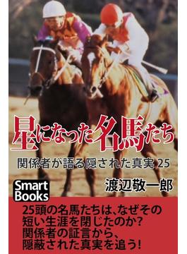 星になった名馬たち 関係者が語る隠された真実25(スマートブックス)