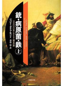 銃・病原菌・鉄