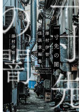 一寸先の闇　澤村伊智怪談掌編集