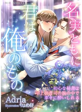 名実ともに君は俺のもの～初心な秘書は年上御曹司の腕の中で幸せに酔いしれる～(IRIEnovel)