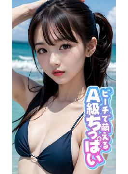 ビーチで萌えるA級ちっぱい(rabbit AI book)