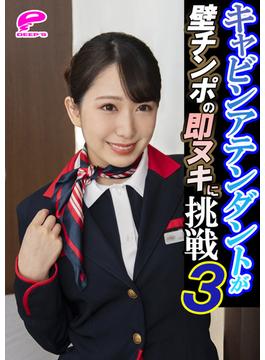 キャビンアテンダントが壁チ〇ポの即ヌキに挑戦３(DEEP'S写真集)