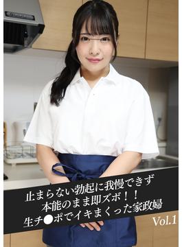 止まらない勃起に我慢できず本能のまま即ズボ！！生チ●ポでイキまくった家政婦　Vol.01(kmp写真集)