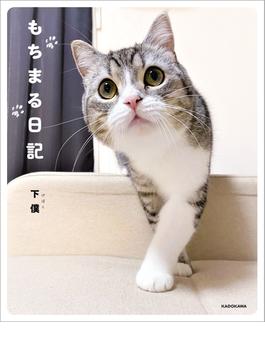 もちまる日記写真集シリーズ