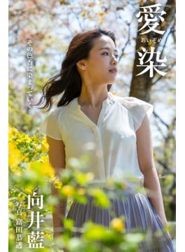 愛染 向井藍【グラビア写真集】(PRESTIGE PHOTOGENICS)