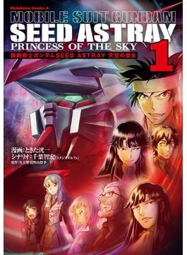 機動戦士ガンダムSEED ASTRAY 天空の皇女(角川コミックス・エース)