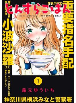 とんずらごはん