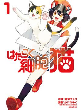 はたらく細胞　猫