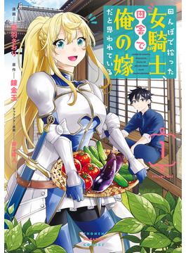 田んぼで拾った女騎士、田舎で俺の嫁だと思われている