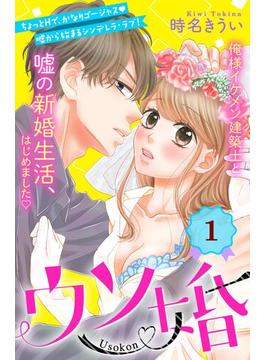 ウソ婚　分冊版