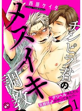 チンピラ君のメスイキ調教(光文社 BL COMICS / Pureri)