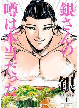 銀　シロガネ(ビッグコミックス)