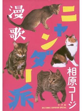 漫歌ニャンダー派(ビッグコミックス)