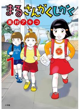 まるさんかくしかく(ビッグコミックス)