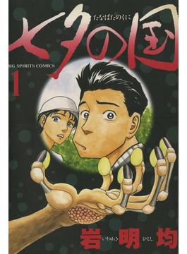 七夕の国(ビッグコミックス)