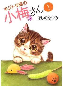 キジトラ猫の小梅さん(ねこぱんちコミックス)