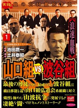 山口組ＶＳ波谷組 浪速血戦(実録極道抗争シリーズ)